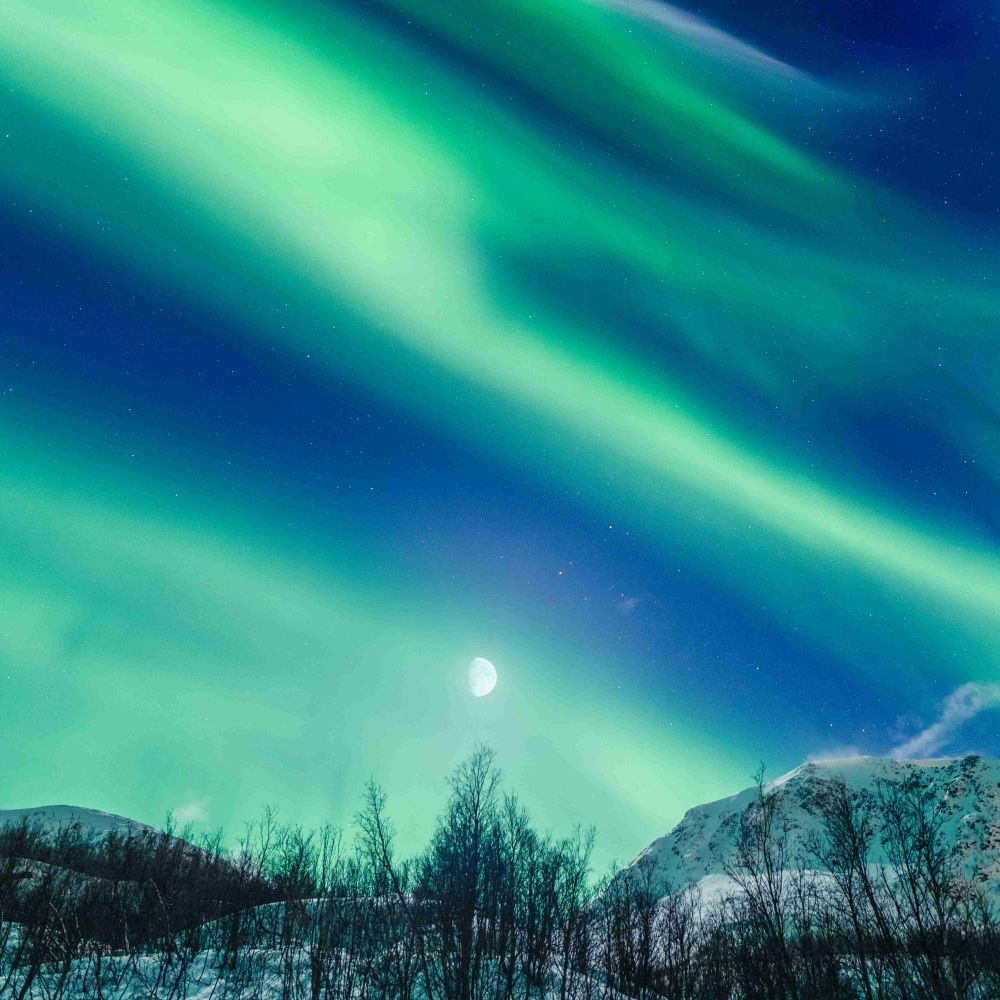 Visit Lofoten