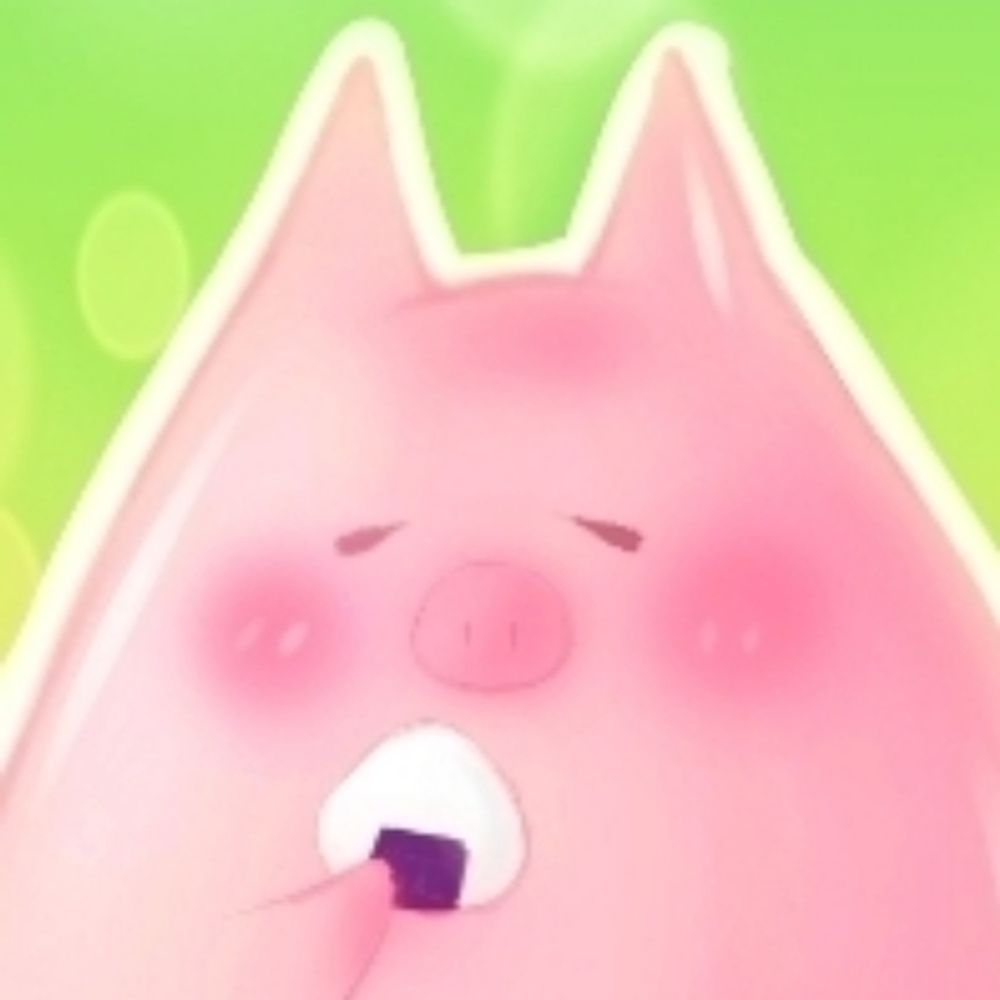 【🐷】㌧