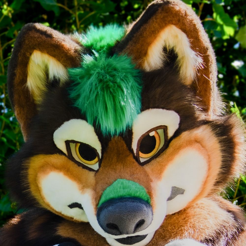 Lorcan 🐺