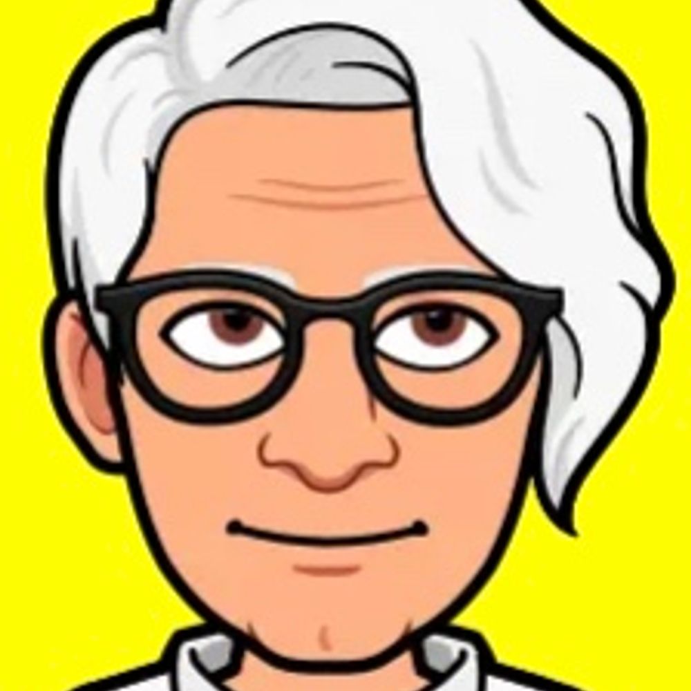 Pim den Hartog