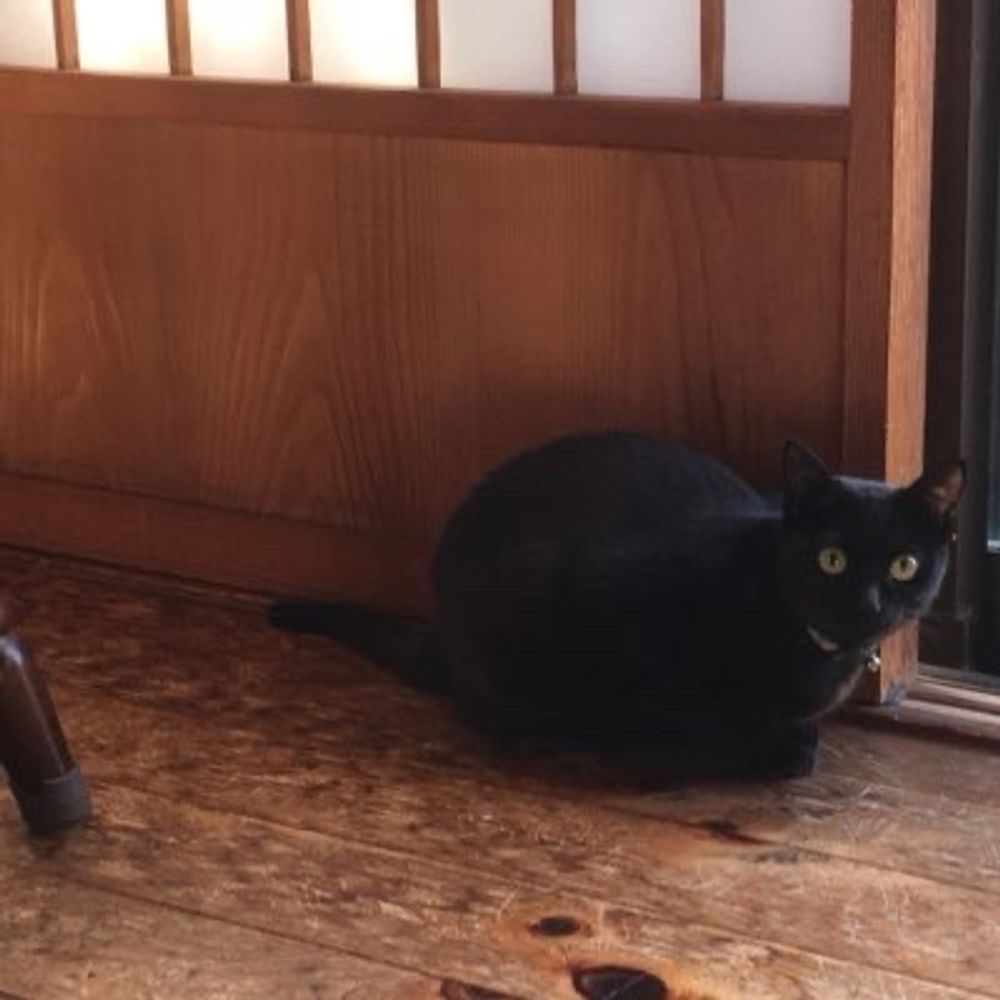 ◯ ま る ぼ ー ず ●