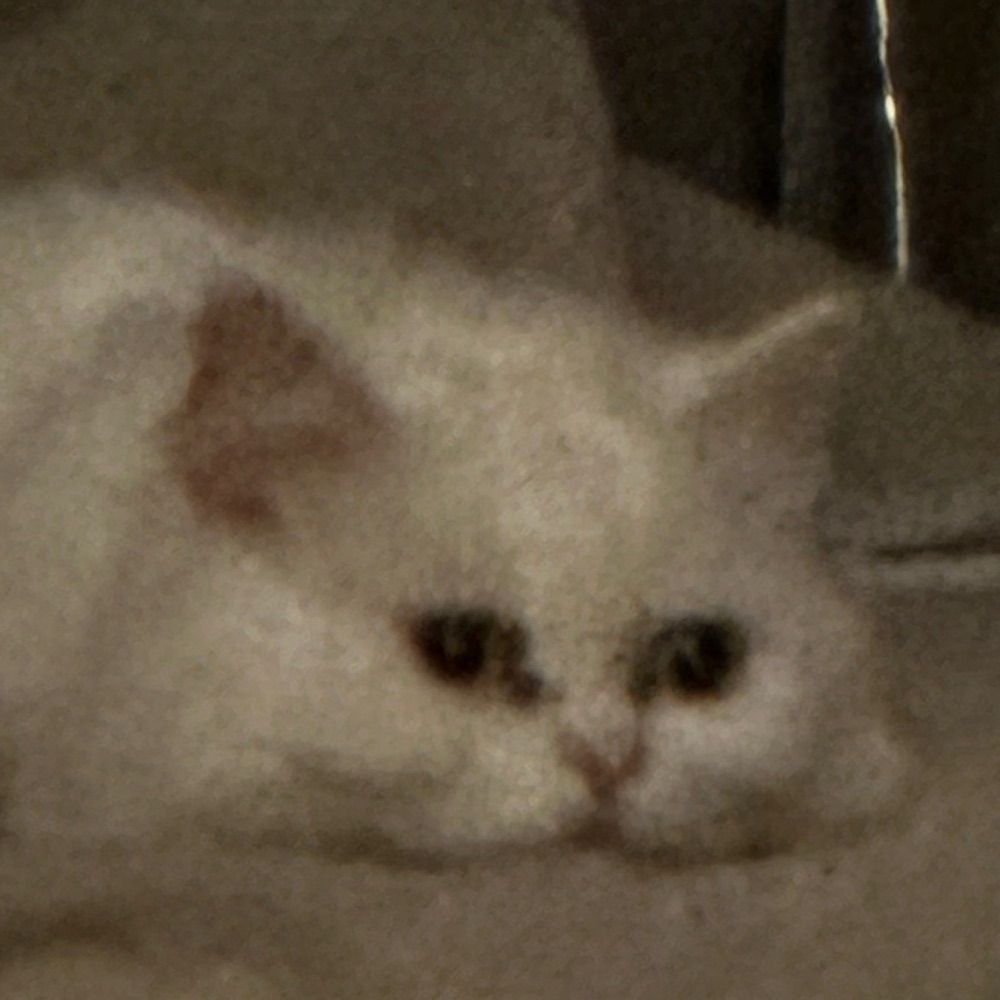 데생