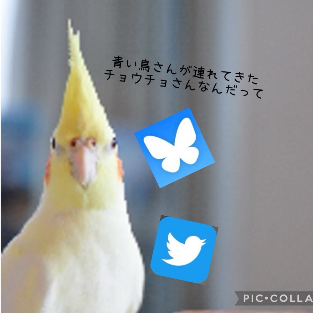 MOFnat 