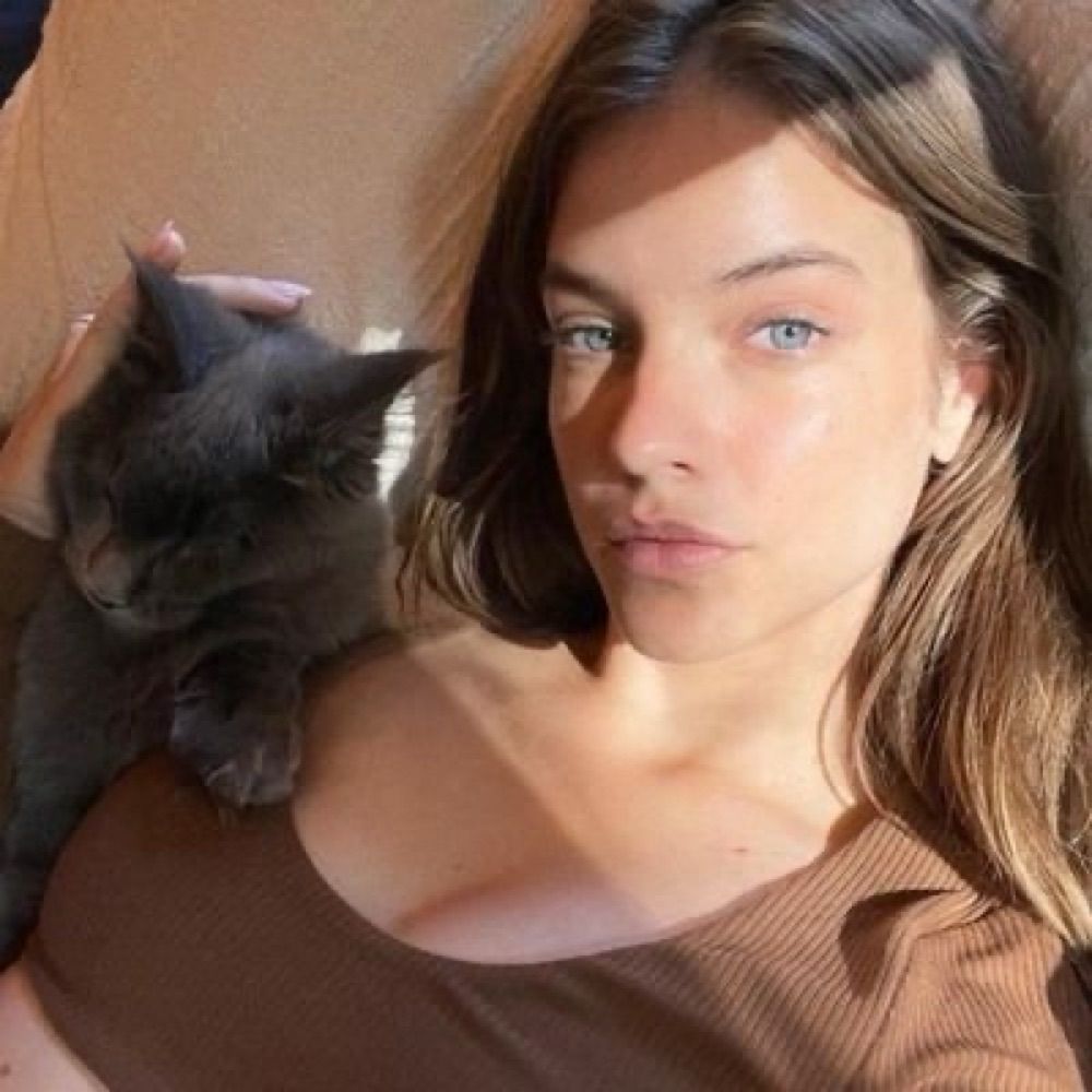 isa