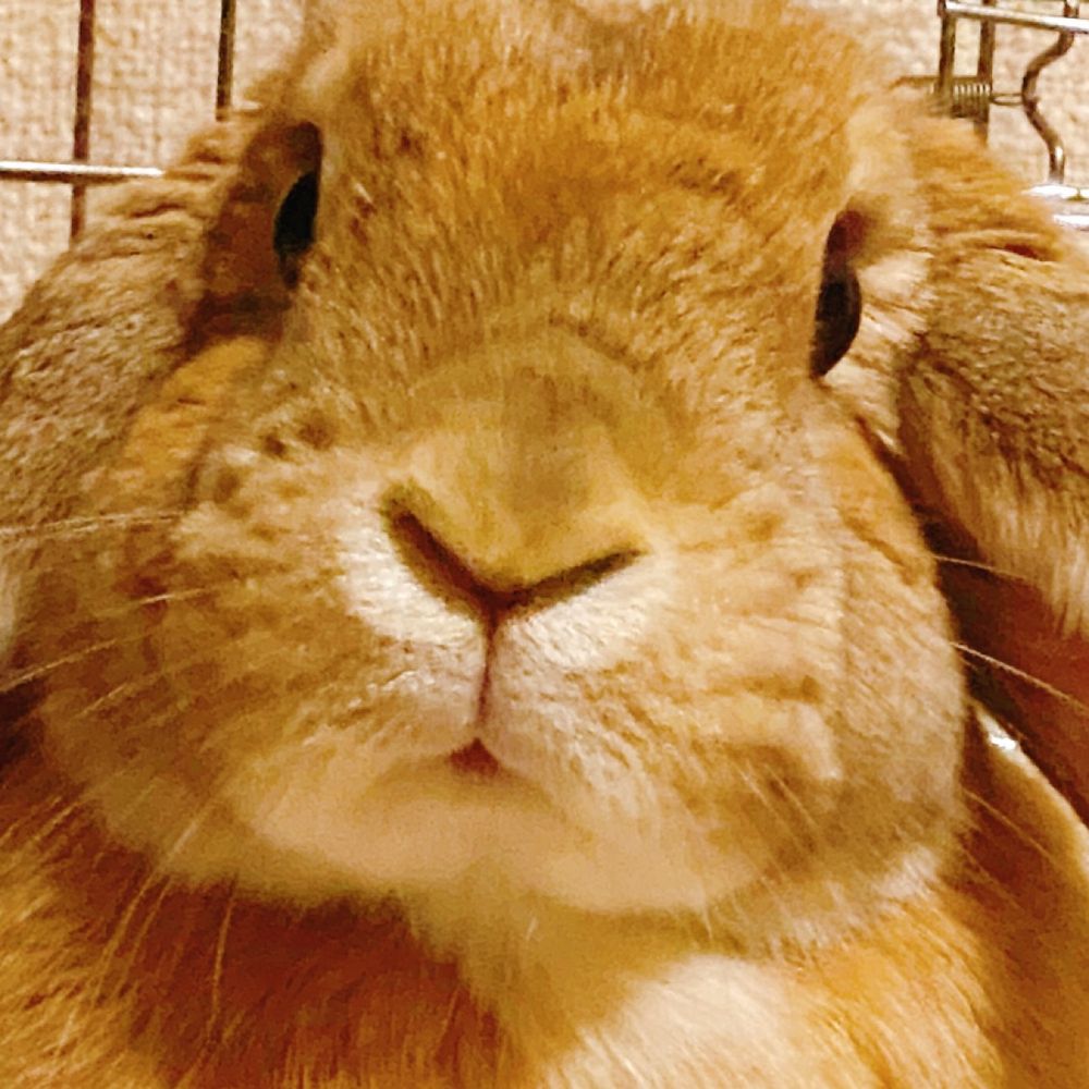 ミィケ