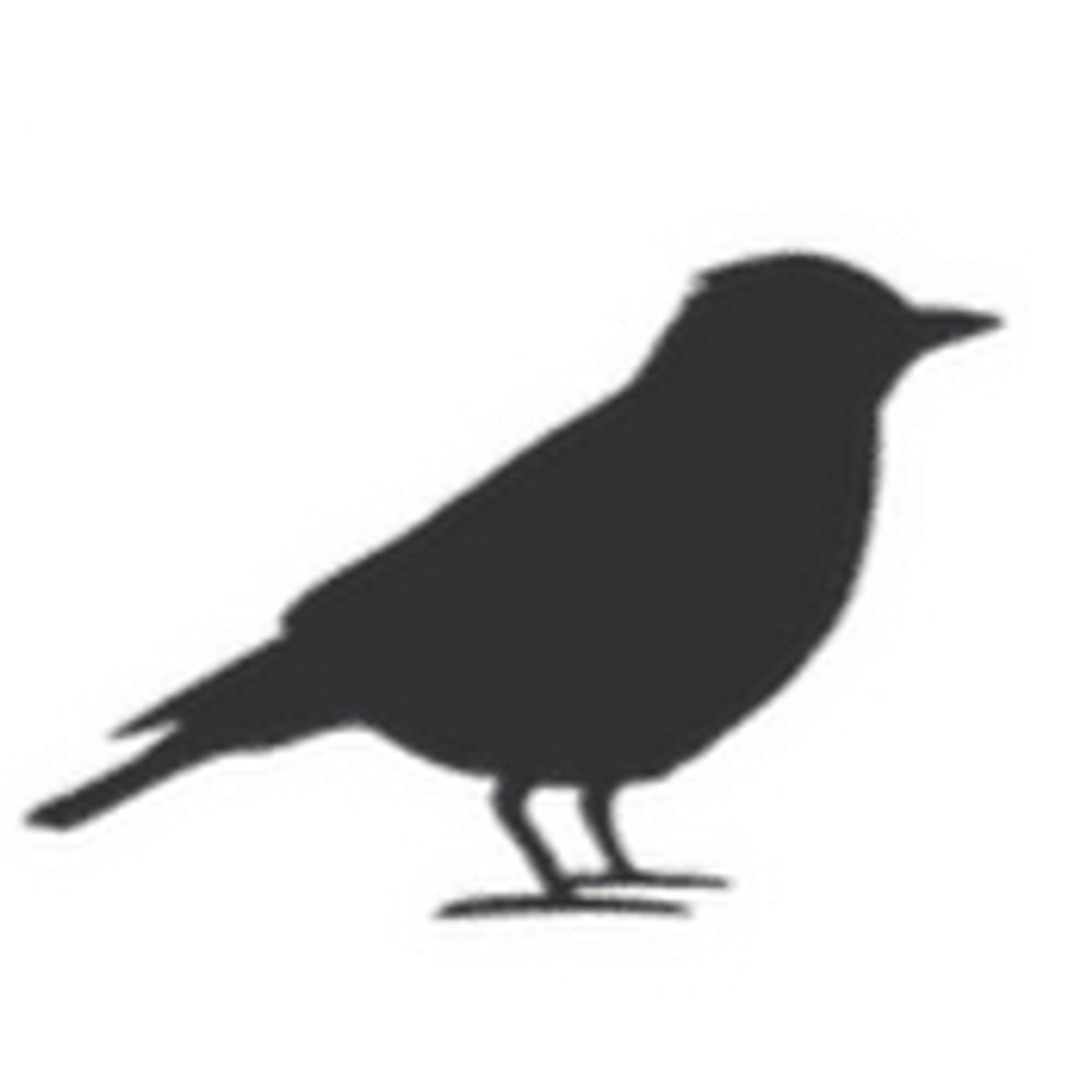 Legenda BlackBird