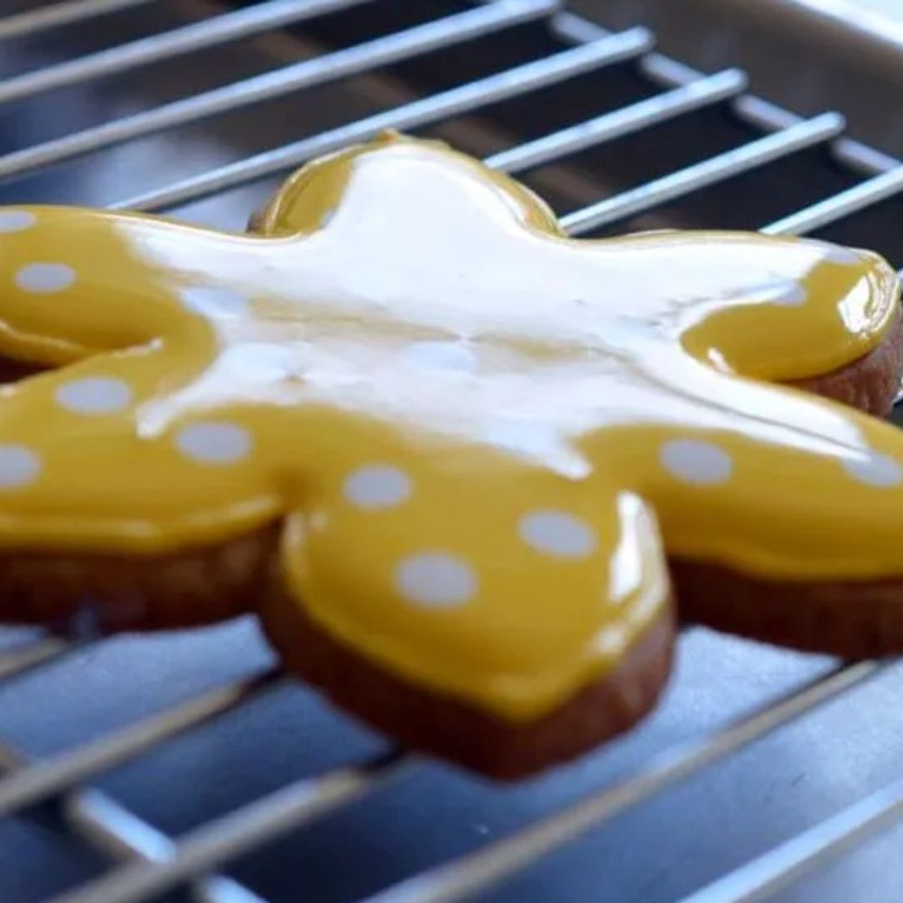 Shiny Biscuit