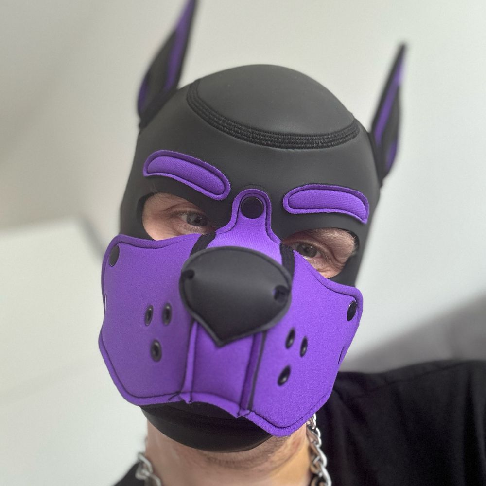 Pup Slyder