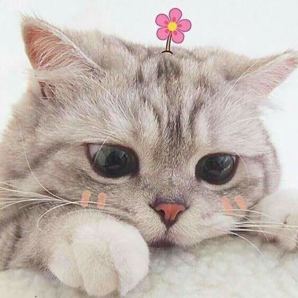 Faaa