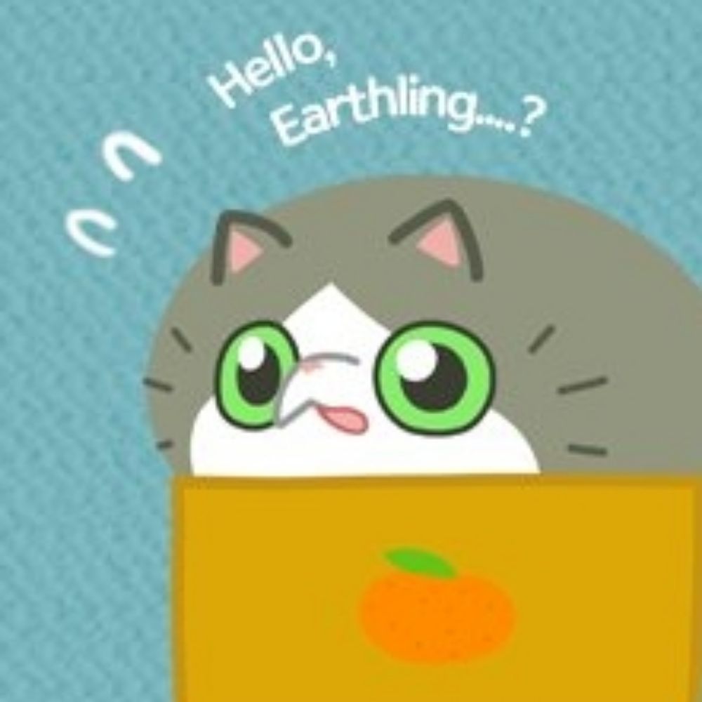 hellopet munchkin connoisseur