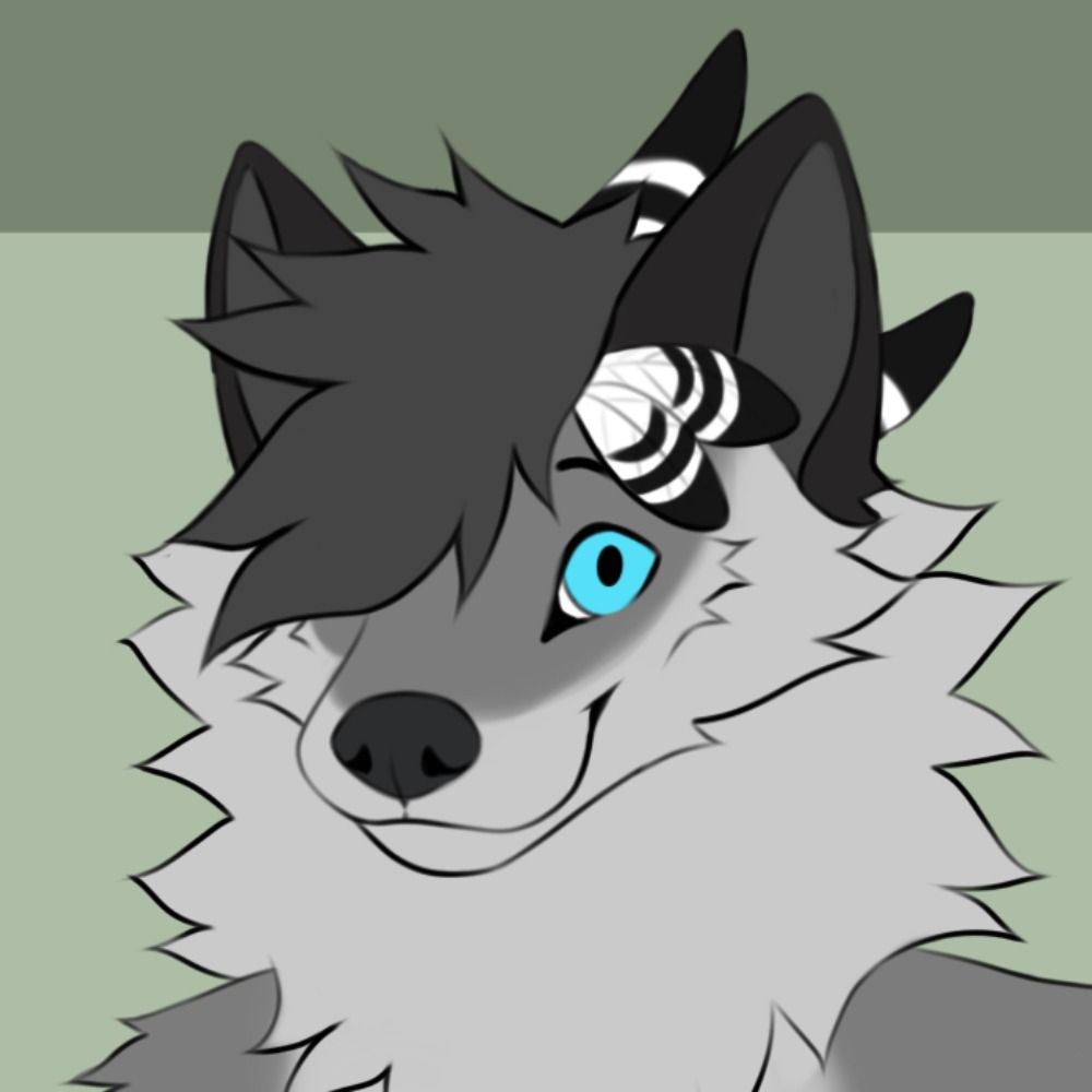 Costa Wolf