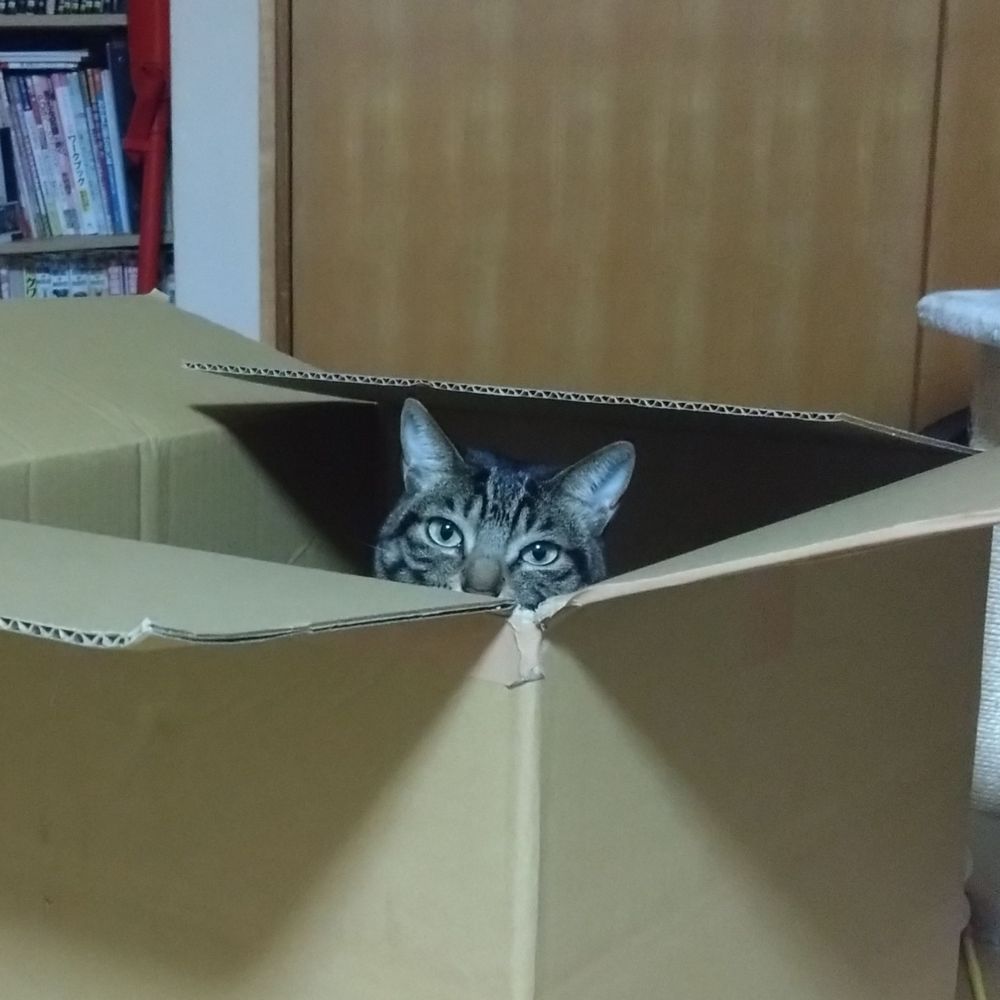 蝸牛