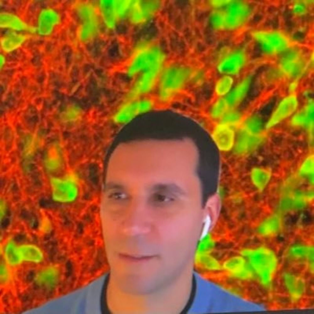 Giancarlo Vanini