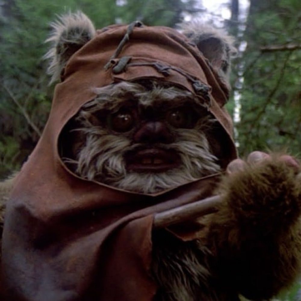 Wicket