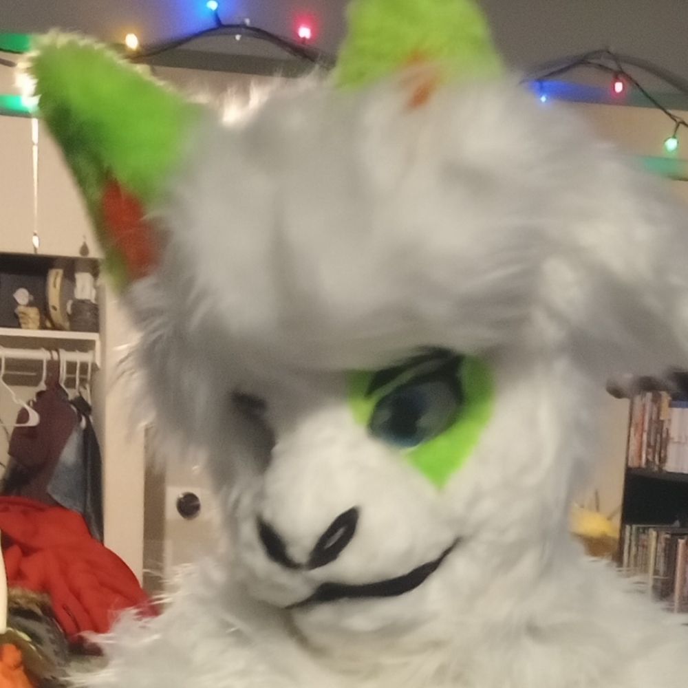 Presto Bunny