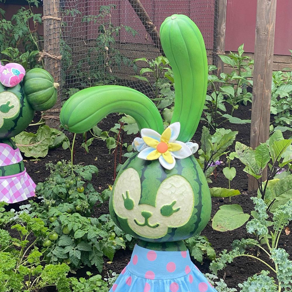 うさぎ🐰