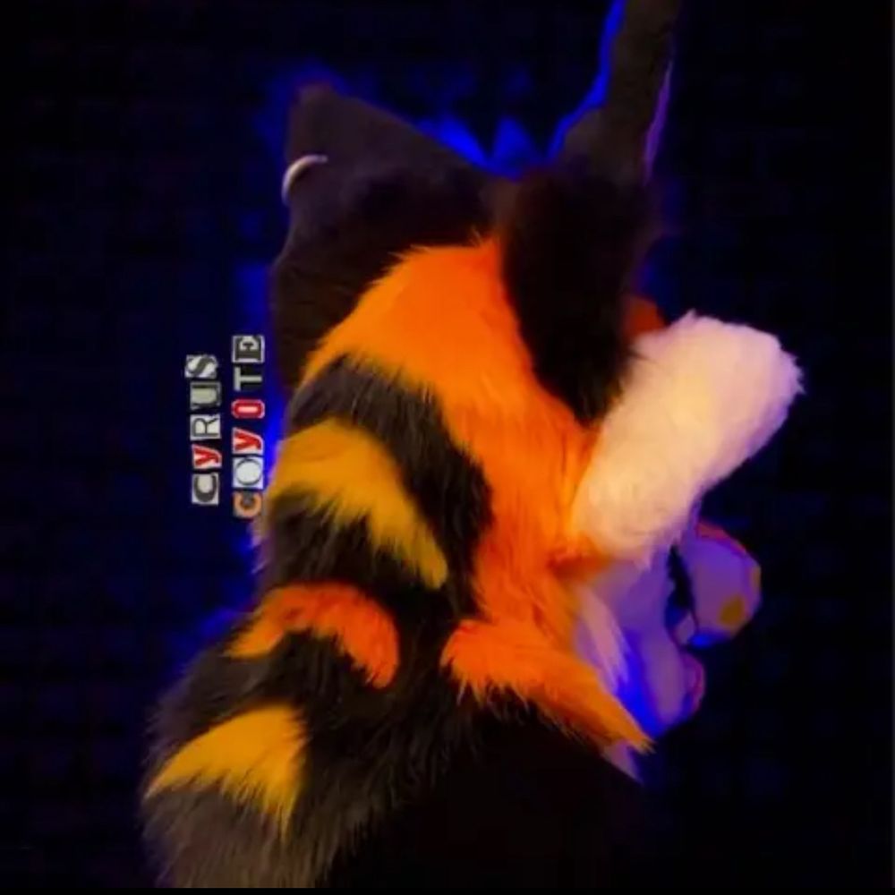 CyrusCoyote