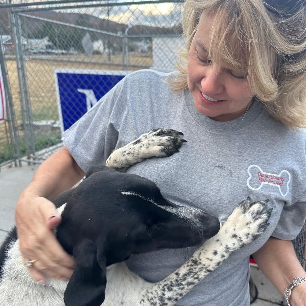 Animal rescue services