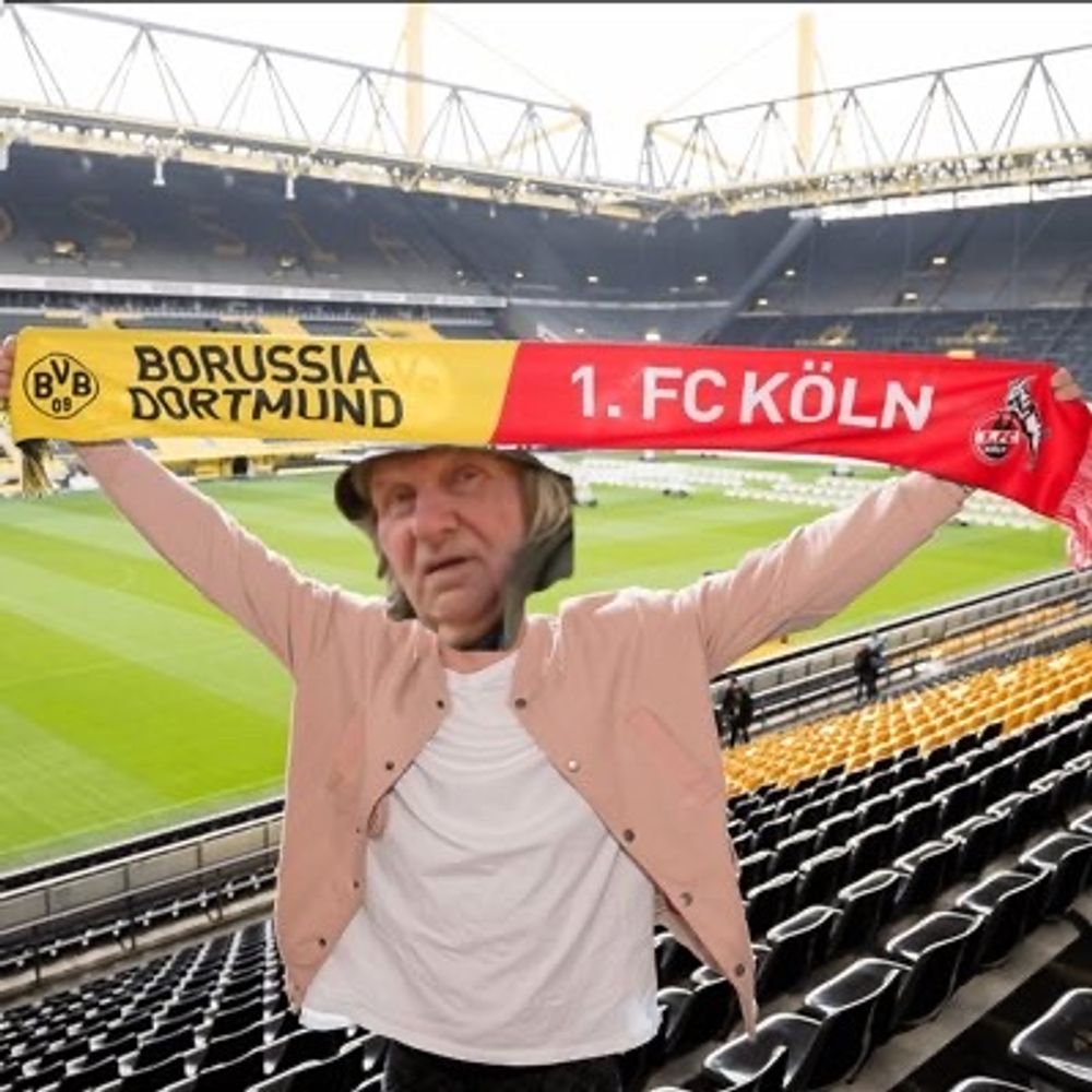 hauer bermann
