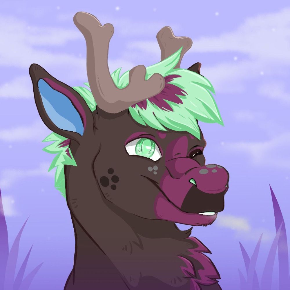 Cloud Caribou