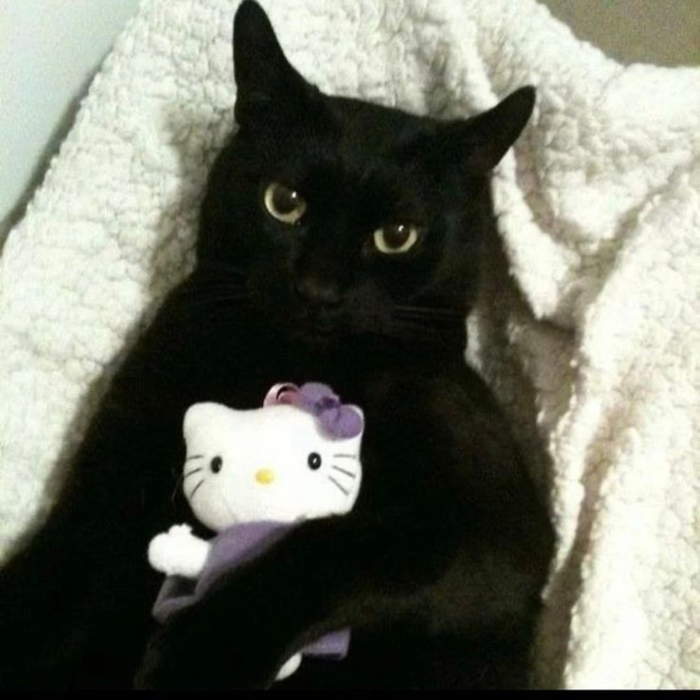 nescau
