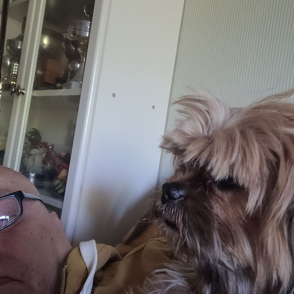 Hannes