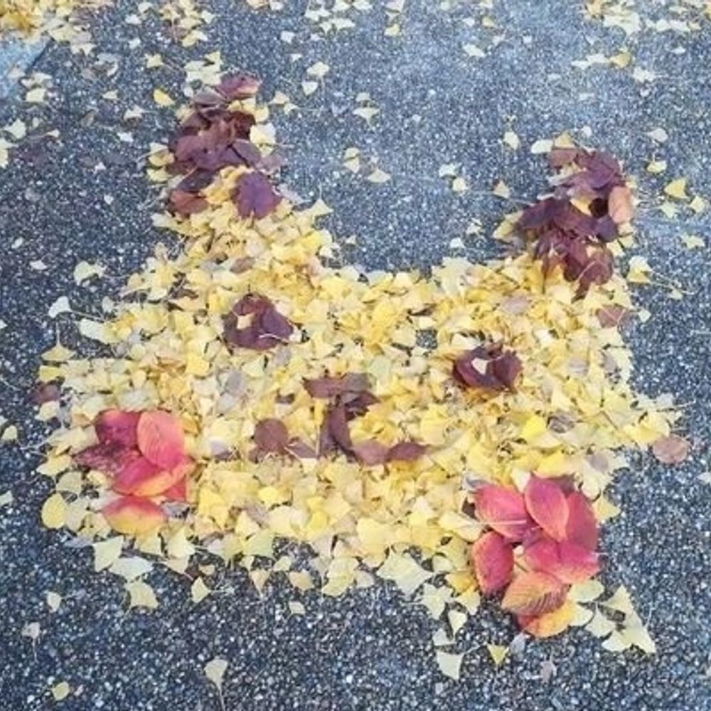 梦涵