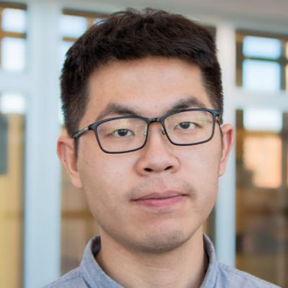 Di Yang 