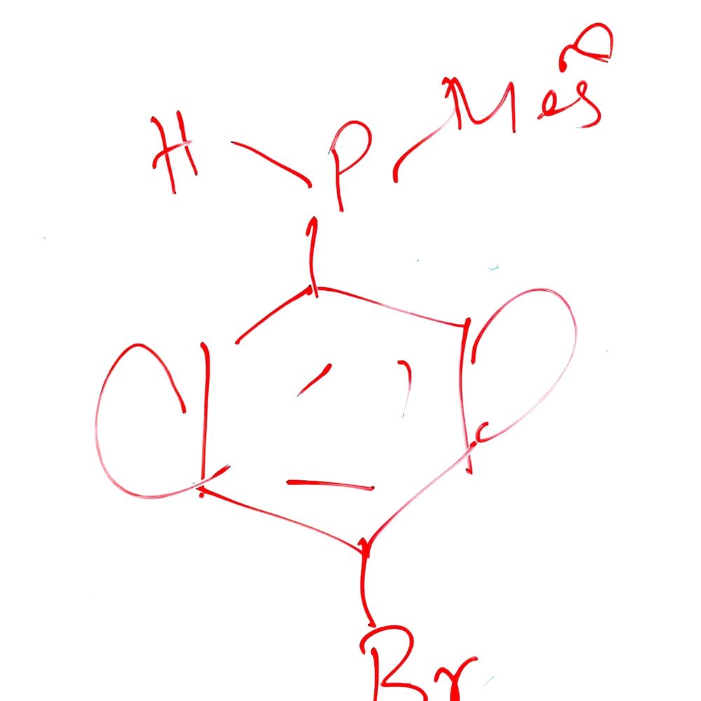 Orthaber Lab