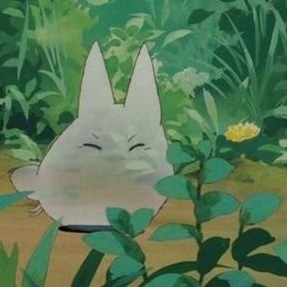 순심