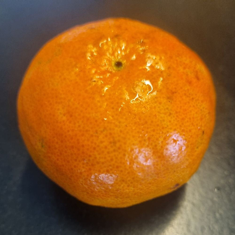 Mandarina