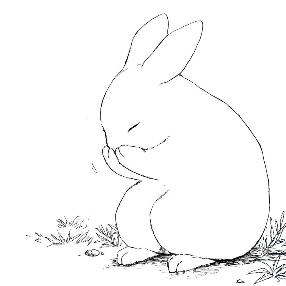 Bunny (She/They/Fae)