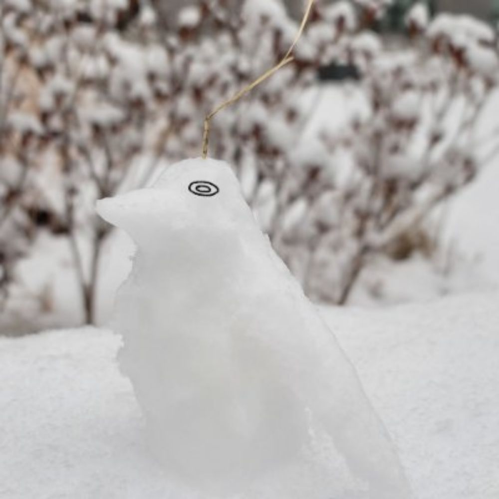 황제펭귄🐧