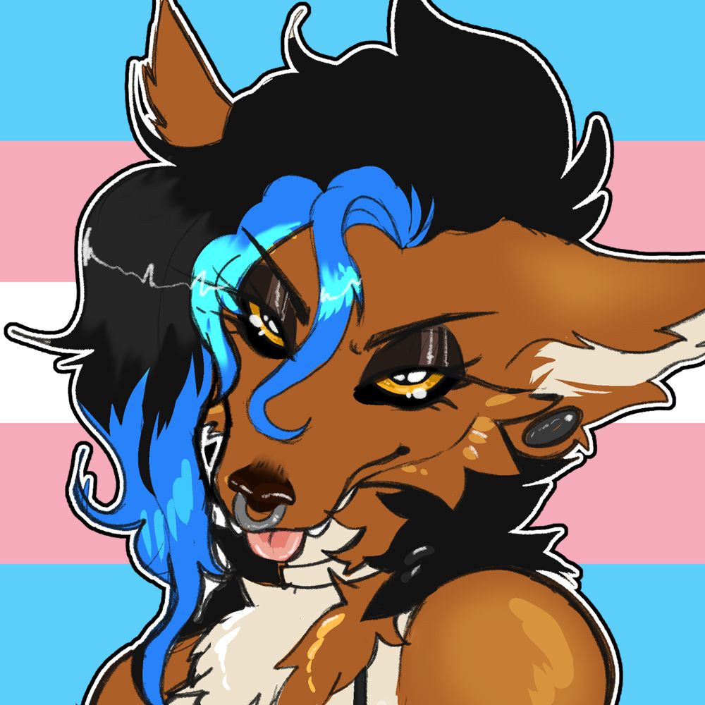 willow c (she/her)