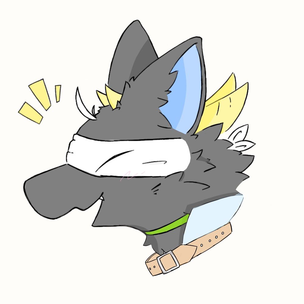 kiれはし