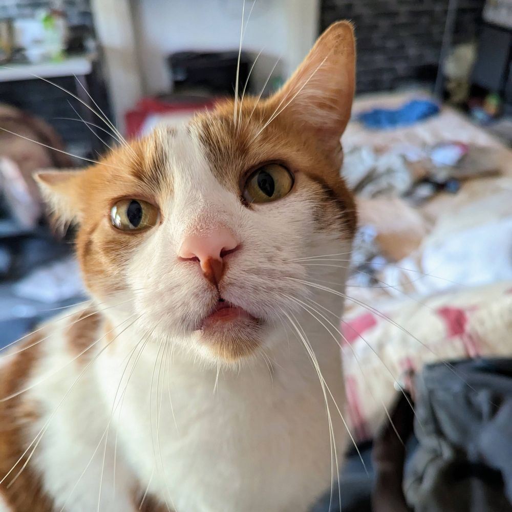 Jack