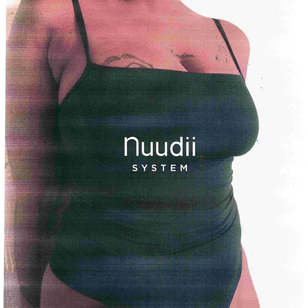 Nuudii System