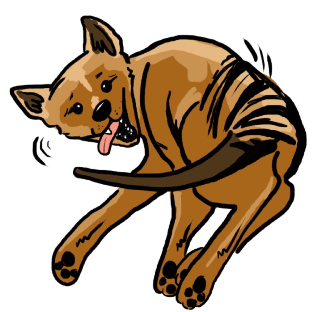 Myotis of House Thylacine 