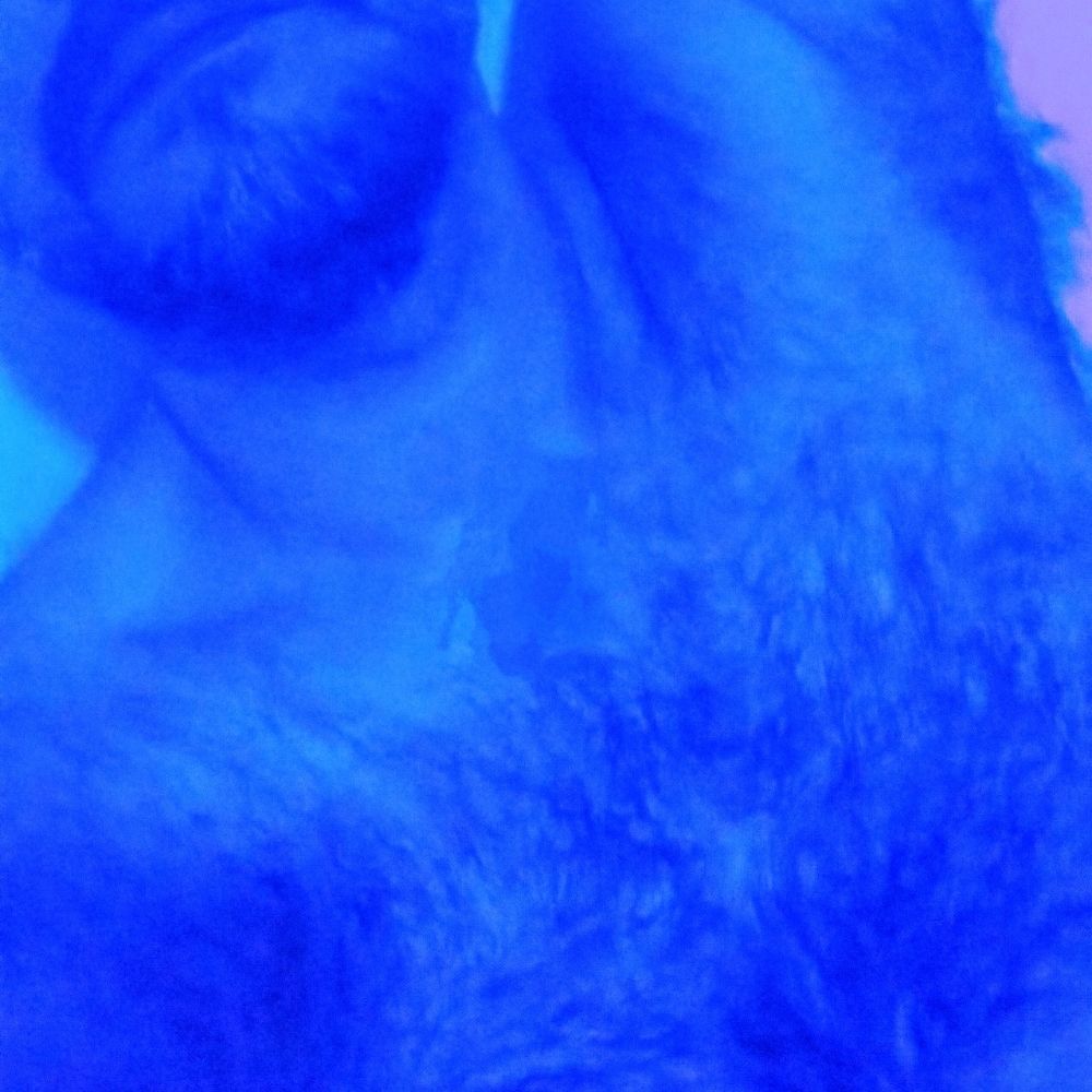Daddy L