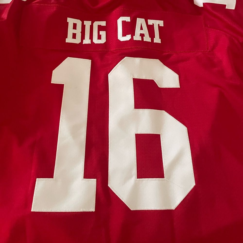 BigCat