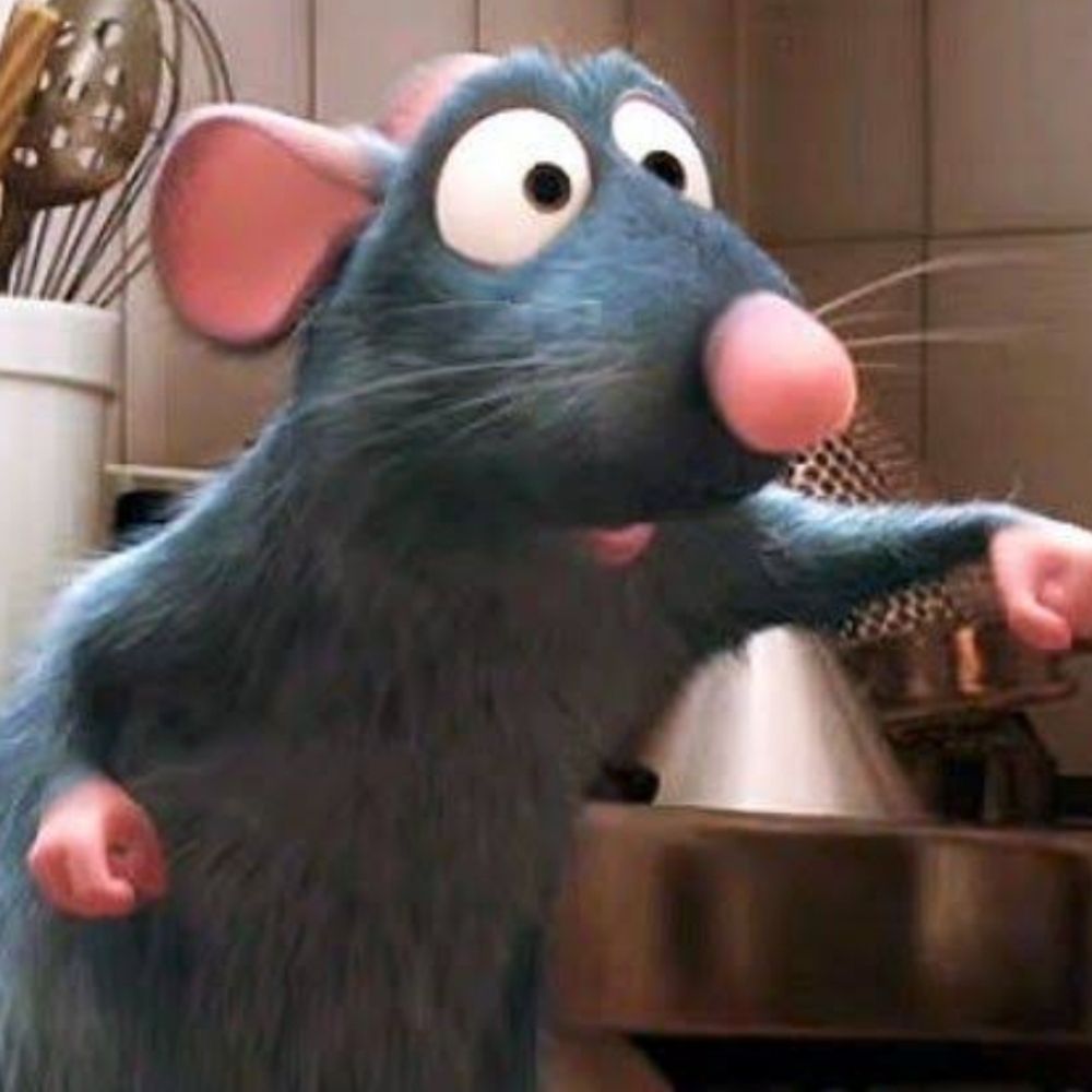 raphatouille