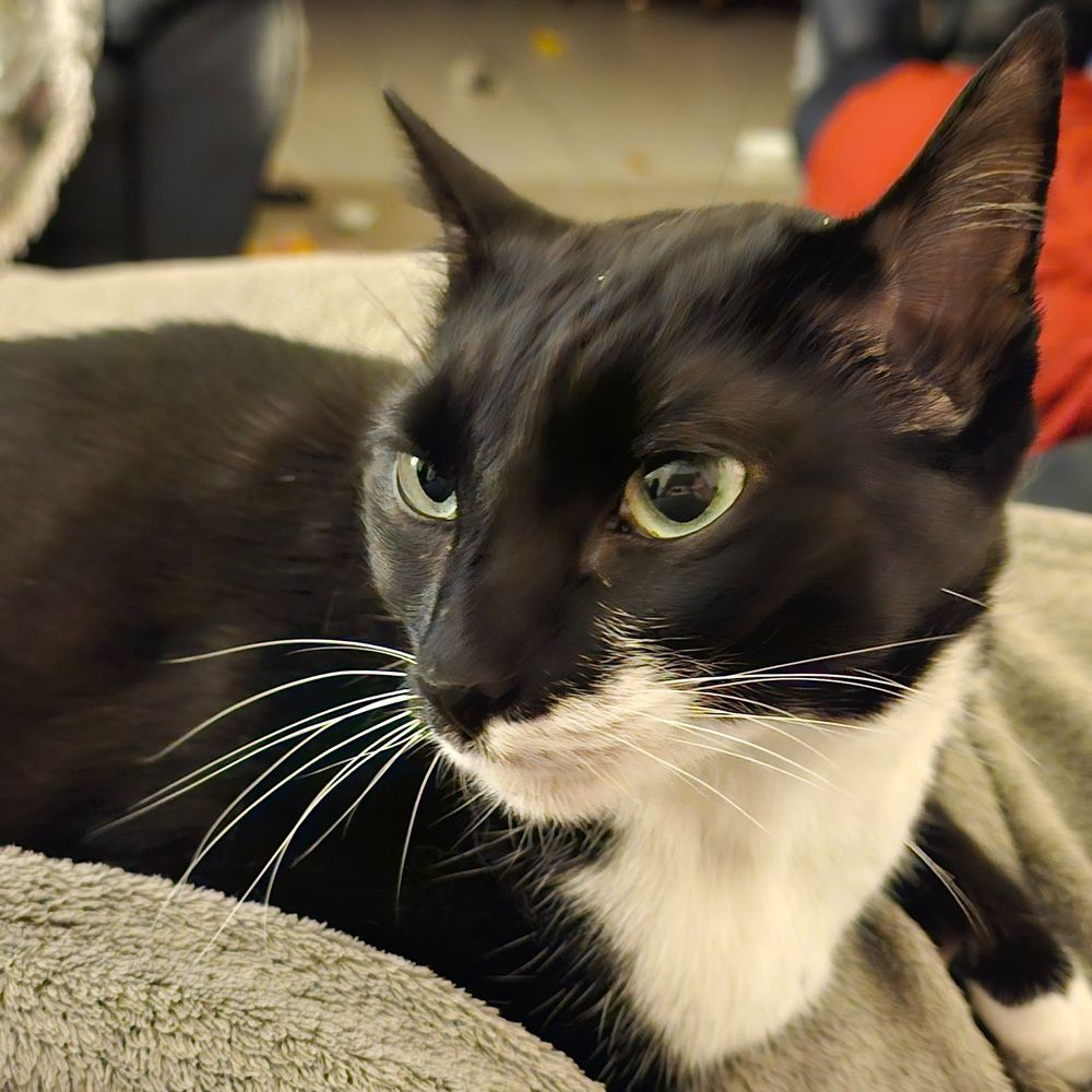 ellie. 