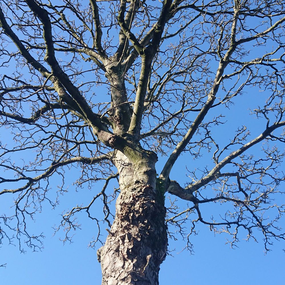 sallyl23.bsky.social