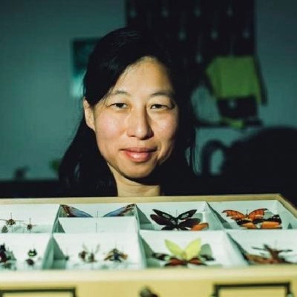 Tania Kim