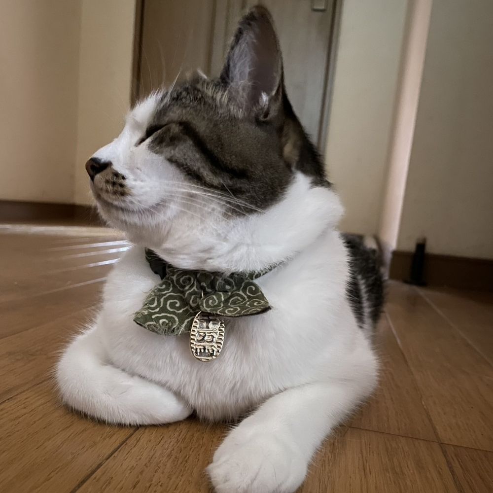 まぁいね