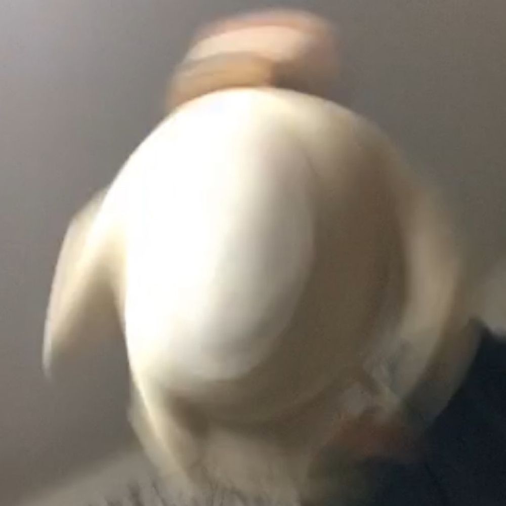 あなる