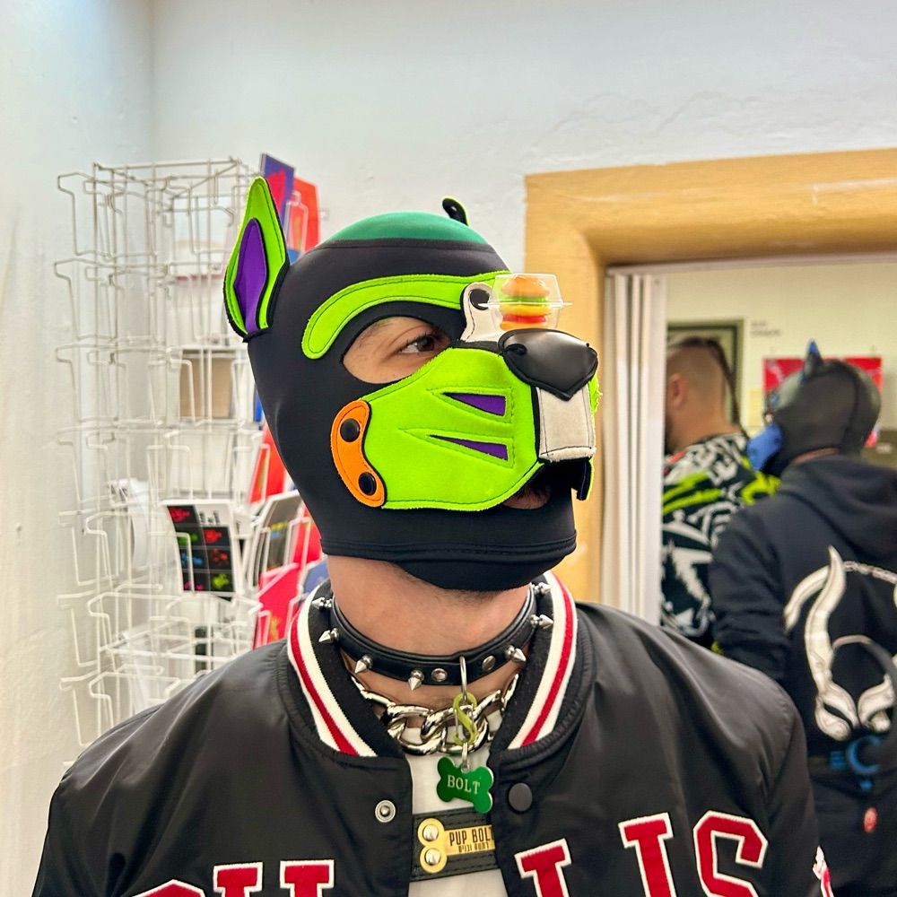 Pup Bolt