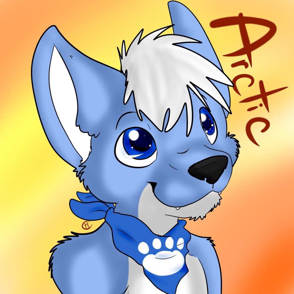 ArcticSkyWolf on YouTube, X, etc.!