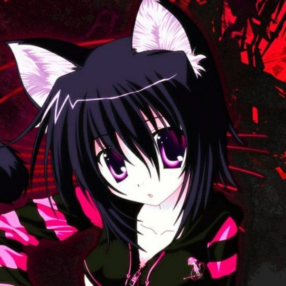 Daily 2000s anime