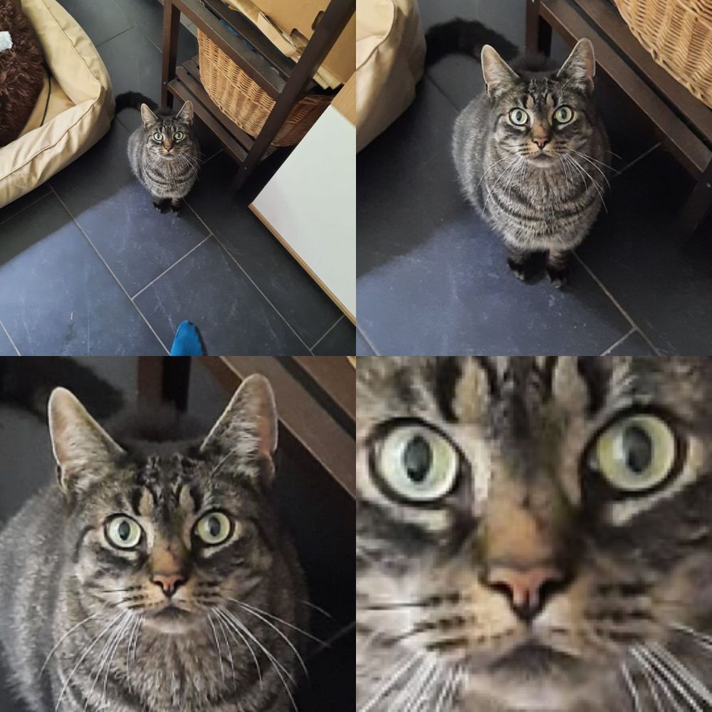Lirajel
